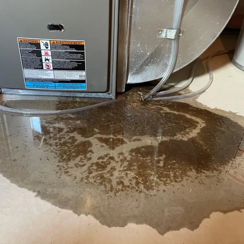 Appliance Leak Cleanup in North Madison, IN